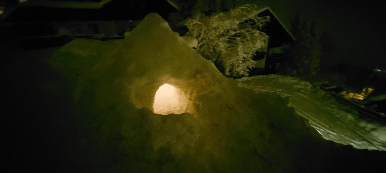 Finkennest Daire Bad Kleinkirchheim Dış mekan fotoğraf
